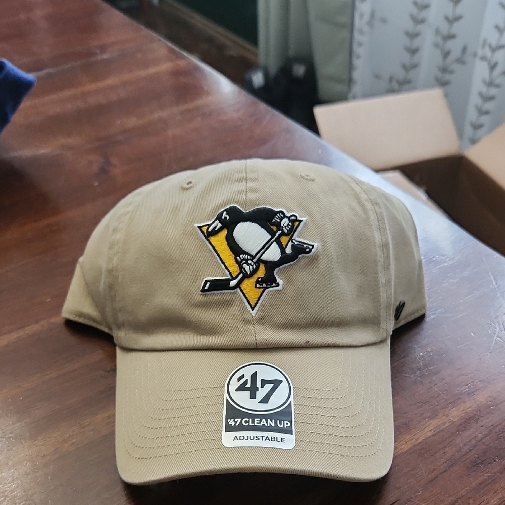 Pittsburgh Penguins Hat